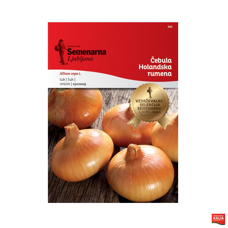 ČEBULA HOLANDSKA RUMENA 595 Semenarna 