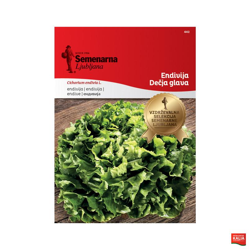 ENDIVIJA DECJA GLAVA 442 Semenarna