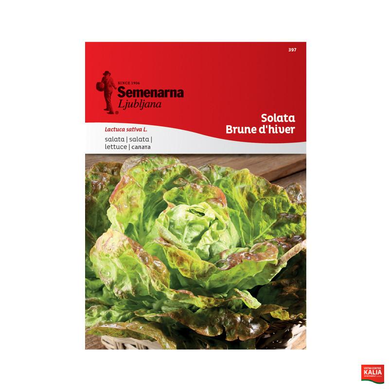 SOLATA BRUNE D