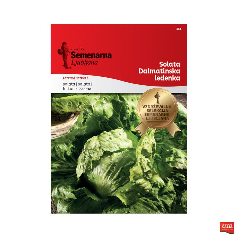SOLATA DALMATINSKA LEDENKA 361 Semenarna