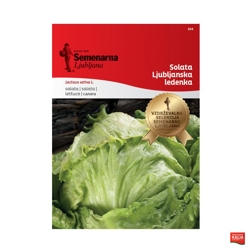 SOLATA LJUBLJANSKA LEDENKA 354 Semenarna