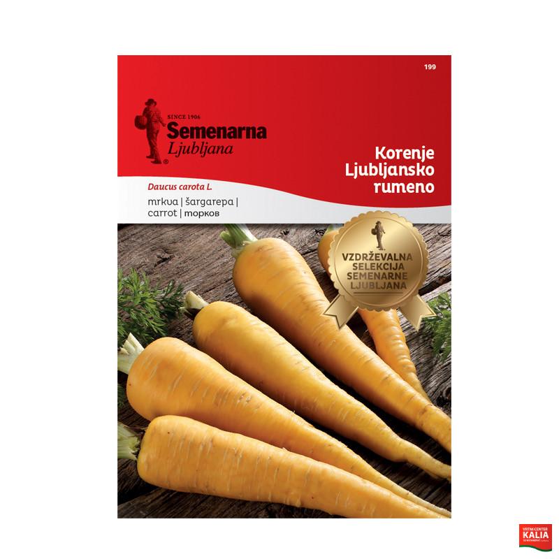 KORENJE LJUBLJANSKO RUMENO 199 Semenarna