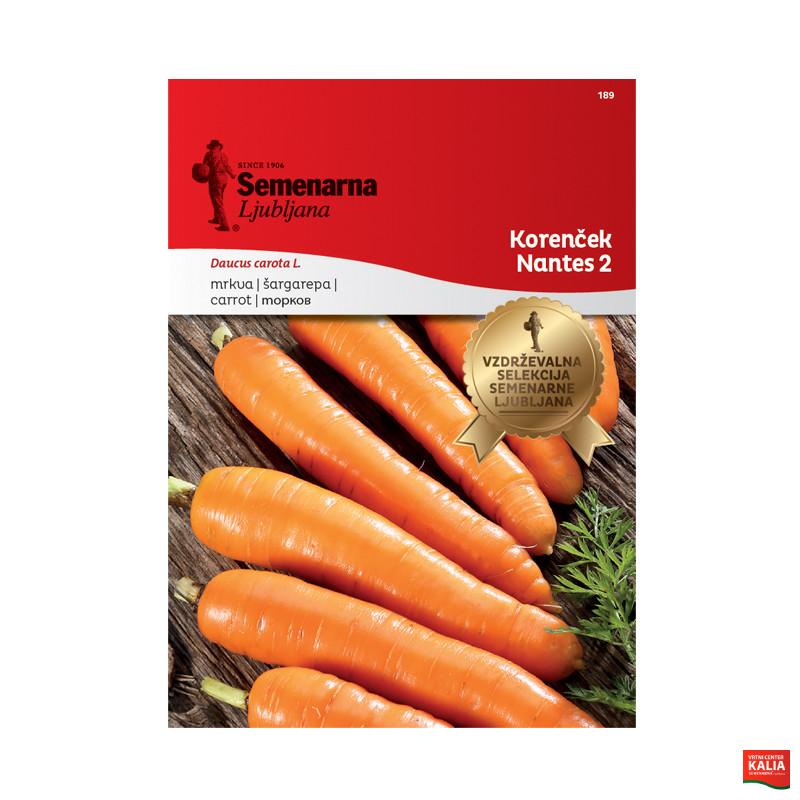 KORENČEK NANTES 2 189 Semenarna