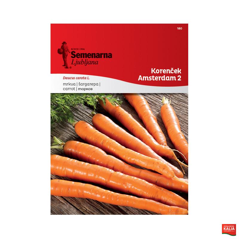 KORENČEK AMSTERDAM 2 180 Semenarna
