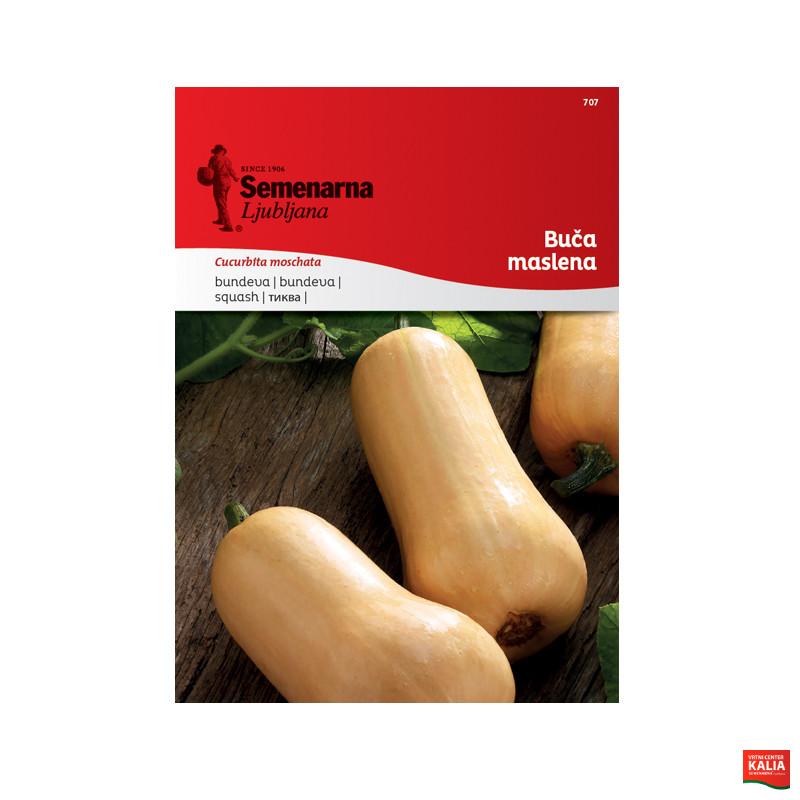 BUČA MASLENA (BUTTERNUT) 707 Semenarna 