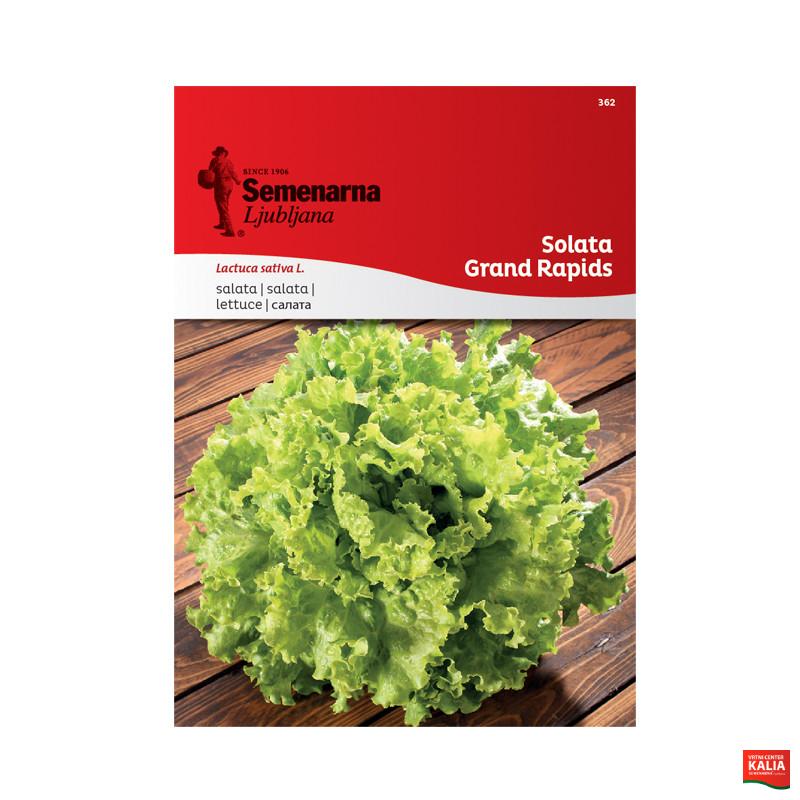 SOLATA GRAND RAPIDS (GENTILINA) 362 Semenarna