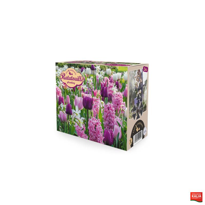 Ratatouille, Purple & Pink tones 24/1 