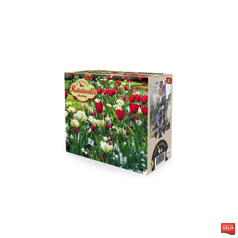 Ratatouille, Red & White tones 30/1 