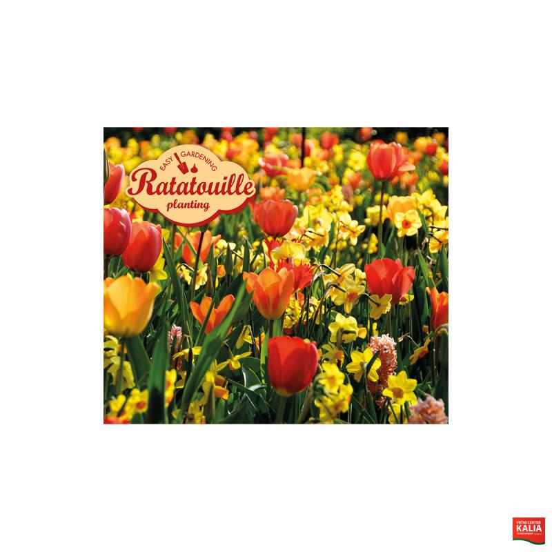 Ratatouille, Yellow & Orange Tones  24 /1 