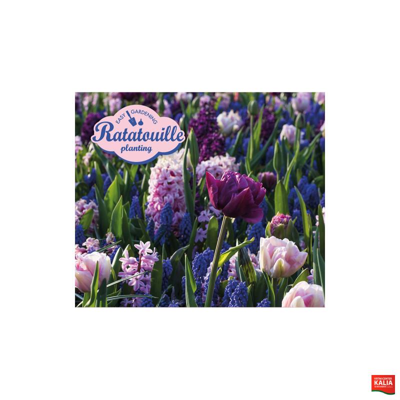 Ratatouille, Purple & Blue Tones 30/1 