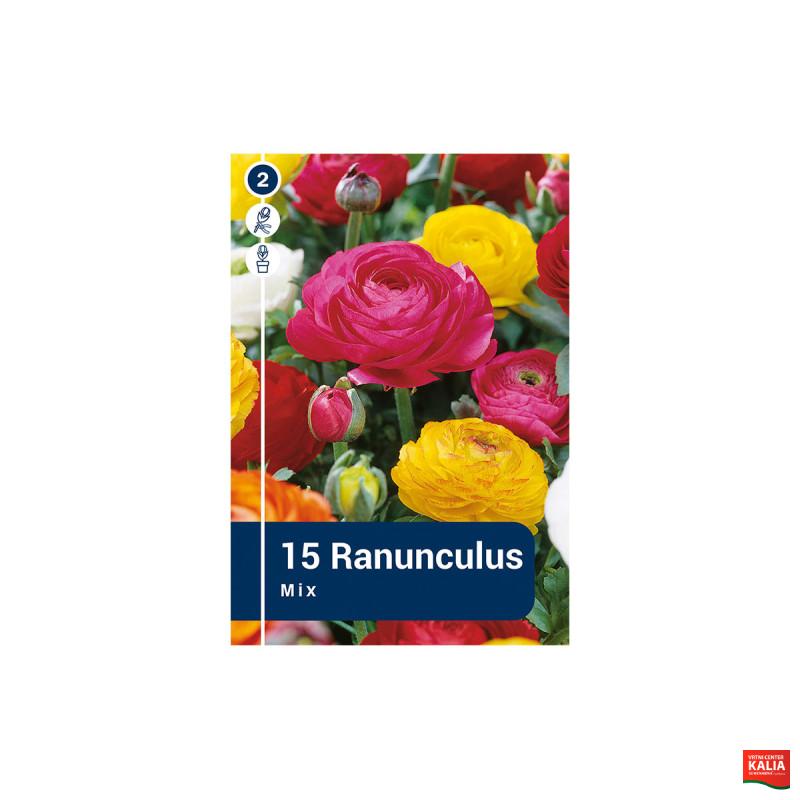 Master Ranunculus Mix 15/1 
