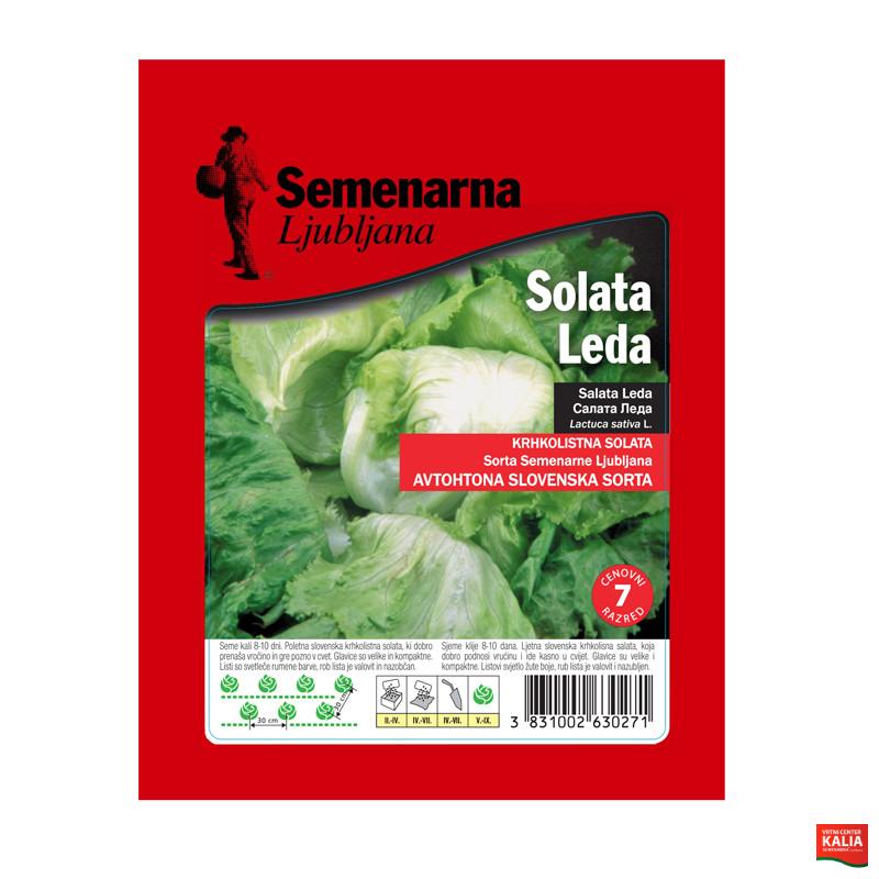 SOLATA LEDA 25 g Semenarna 