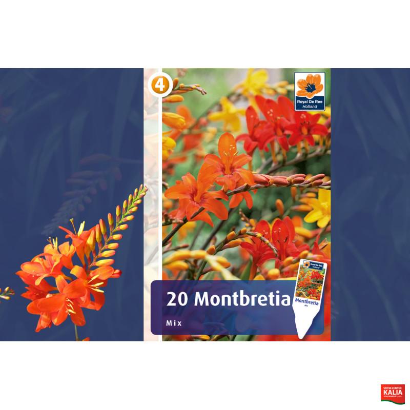 Master Montbretia mix 20/1