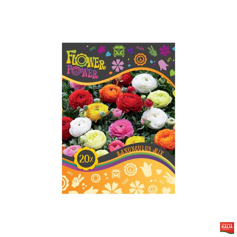 Flower power Ranunculus Mix 20/1 
