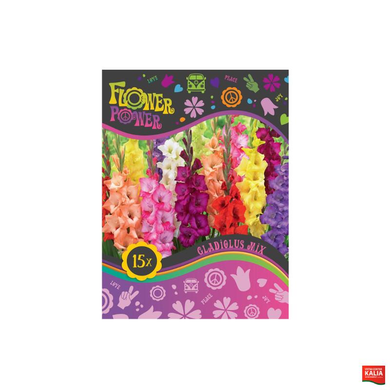 Flower power Gladiolus Mix 15/1