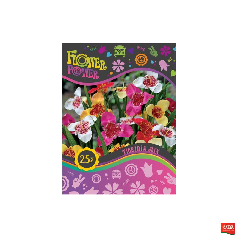 Flower power Tigridia Mix 25/1