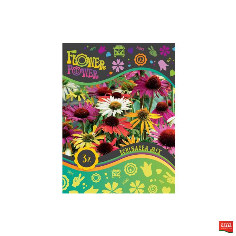 Flower power Echinacea mix 3/1 