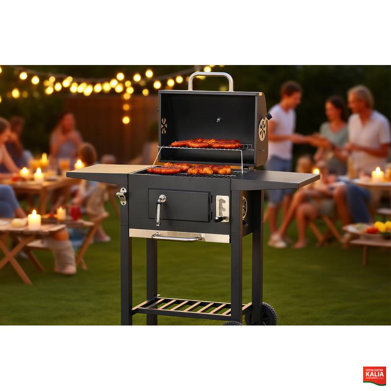 ŽAR NA OGLJE IZ LITEGA ŽELEZA 086466 