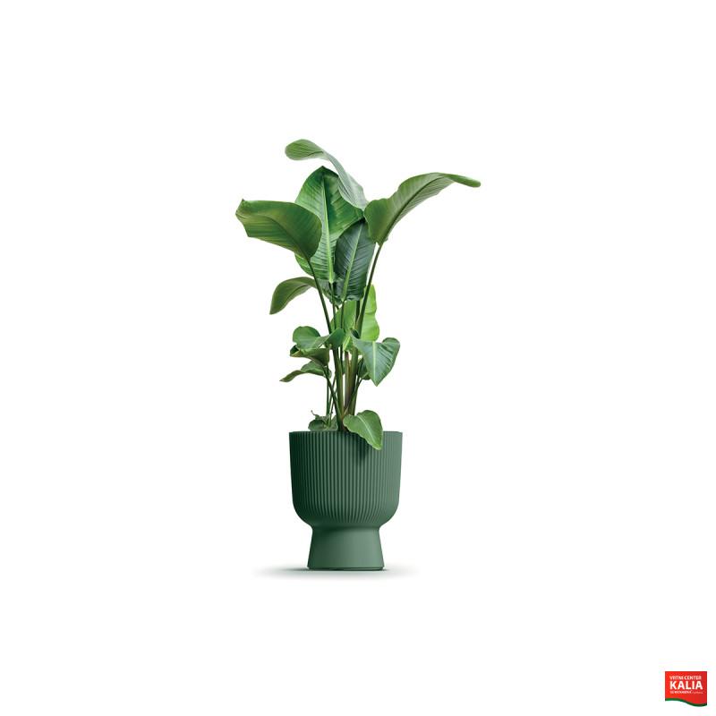 PVC lonec, Milly, 23.9x30.5 cm, borovo zelena