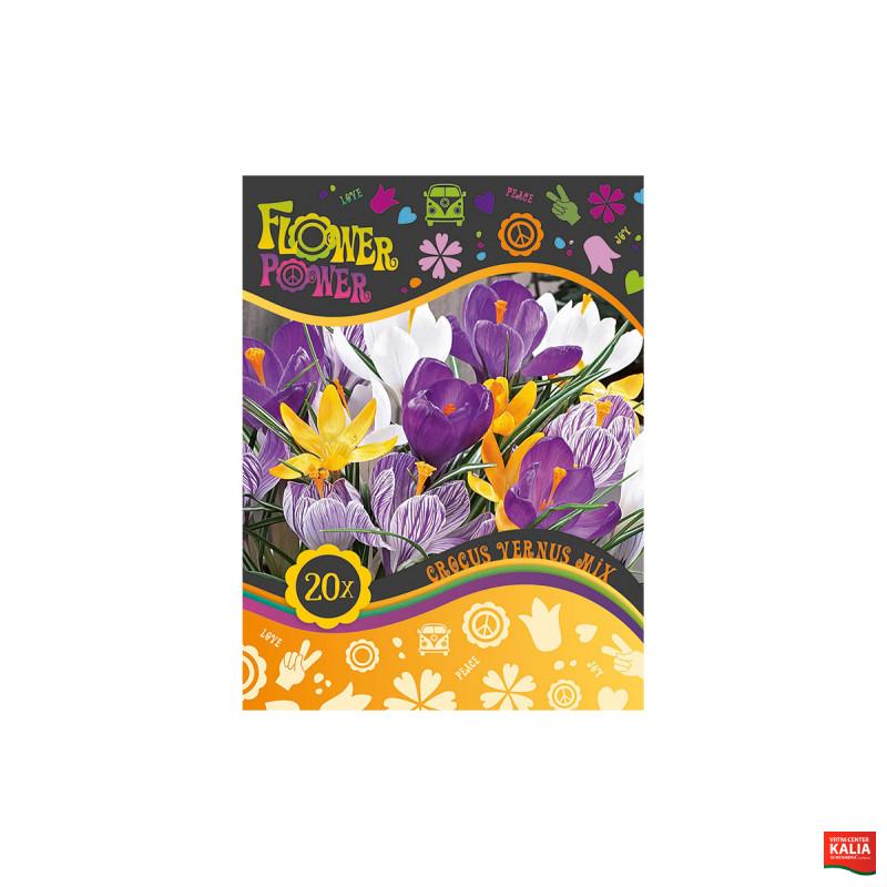 Flover Power Crocus Vernus mix 15/1 