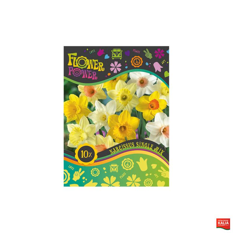 Flover Power Narcissus Single mix 10/1 
