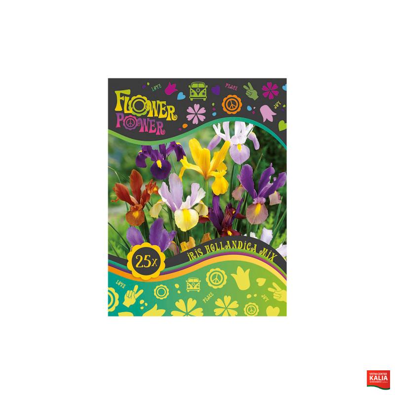 Flover Power Iris Hollandica mix 25/1 
