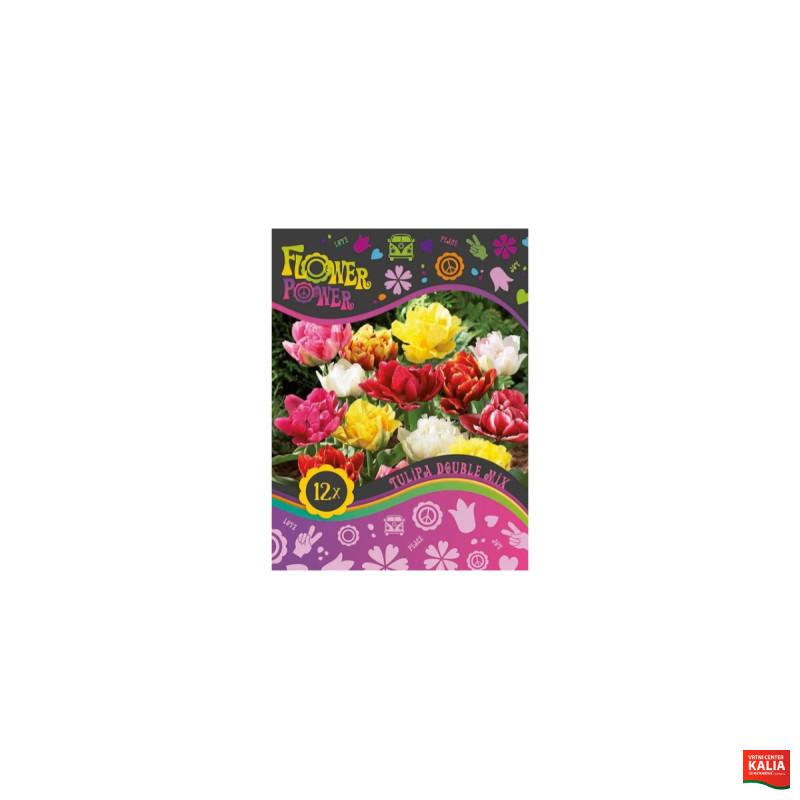 Flower Power Tulipa Double  mix 8/1 
