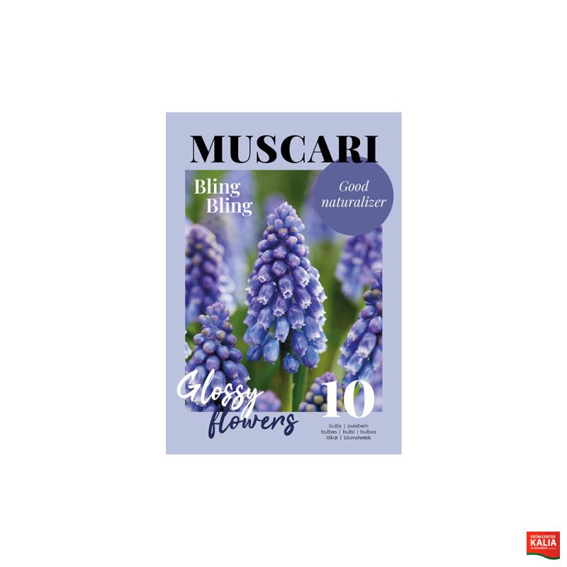 Glossy Muscari  Bling Bling 10/1 