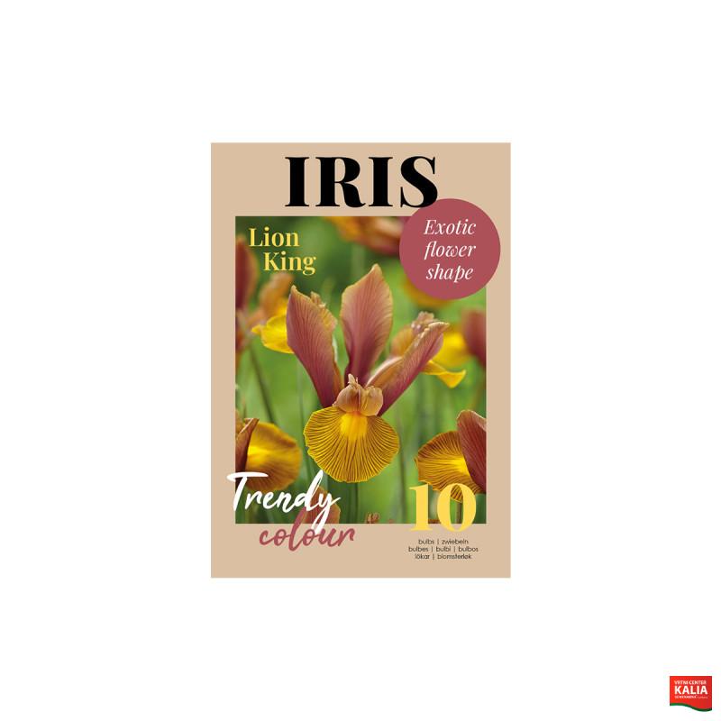 Glossy Iris Lion King 10/1 