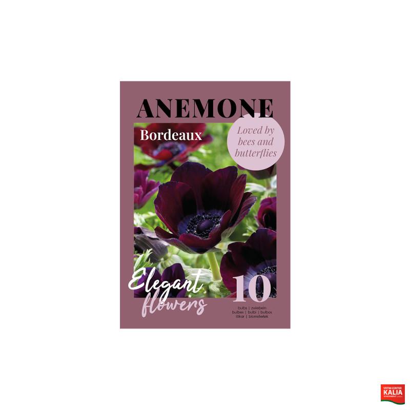 Glossy Anemone Bordeaux 10/1 