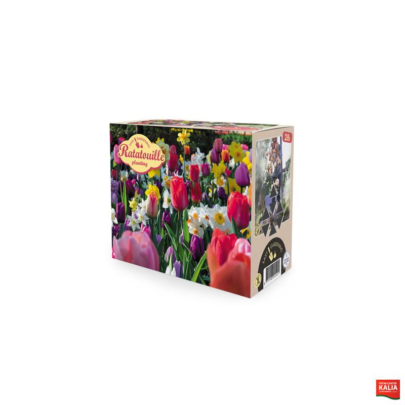 Ratatouille, Rainbow tones 28/1 