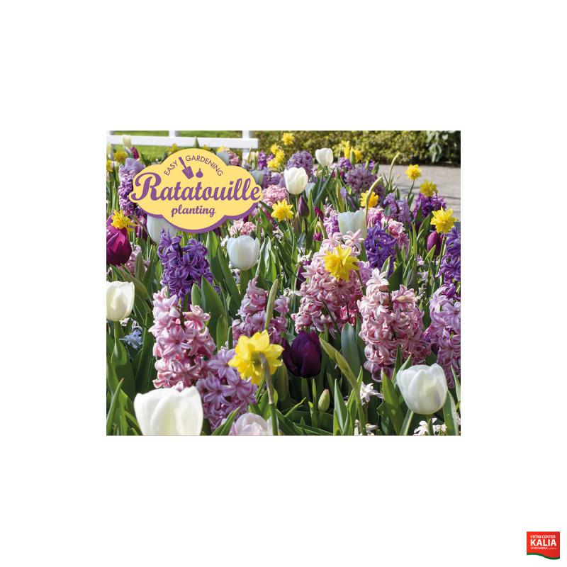 Ratatouille, Pastel Tones  20/1 