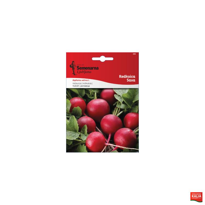 Redkvica Saxa 296 Semenarna 