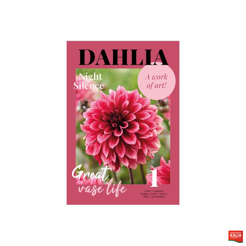 Glossy Dahlia Night Silence 