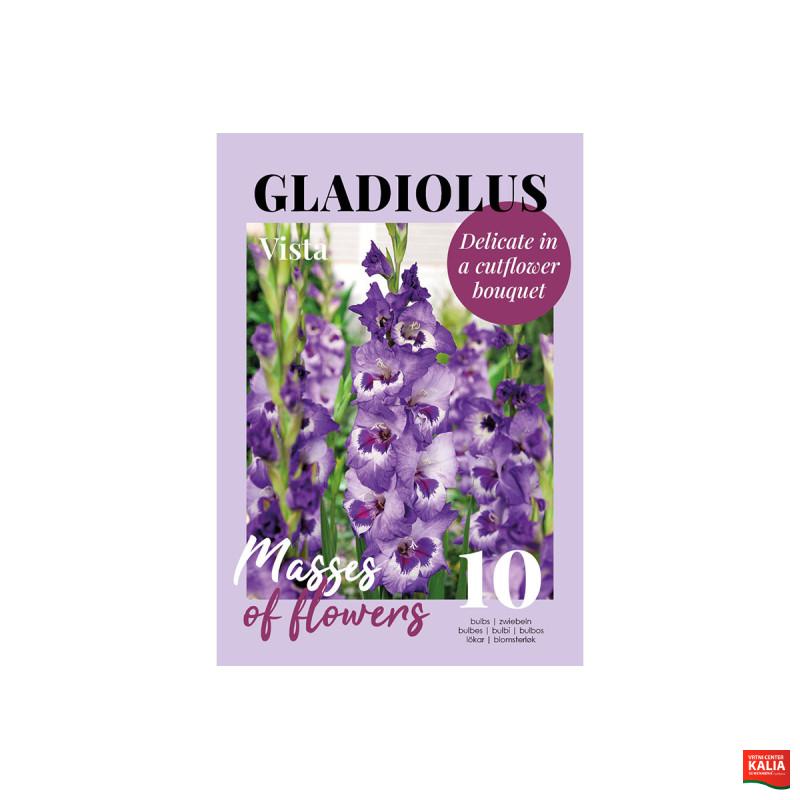 Glossy Gladiool Vista 