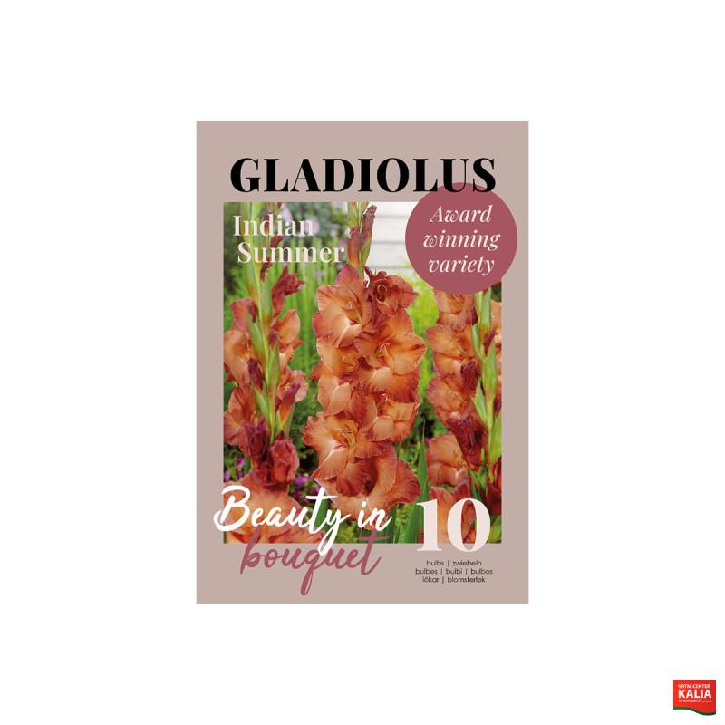 Glossy Gladiool Indian Summer 