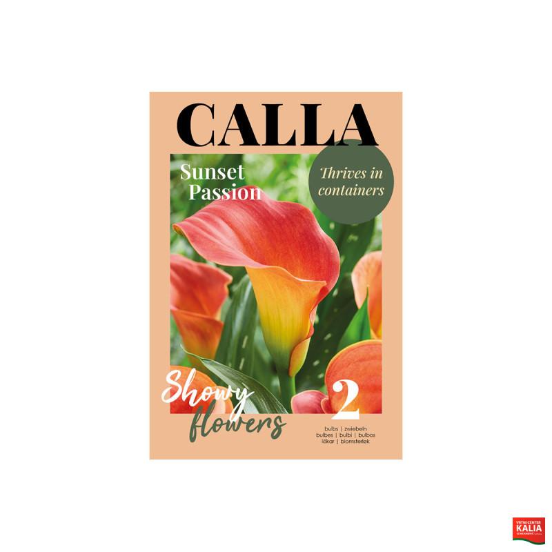 Glossy Calla  Sunset Passion 