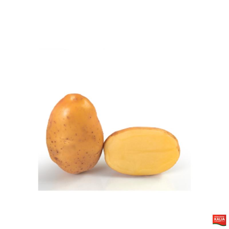 KROMPIR UNIVERSA 25 kg 35/55 mm 