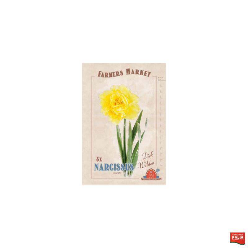 Farmers Market Narcissus double Dick Wilden 8/1 