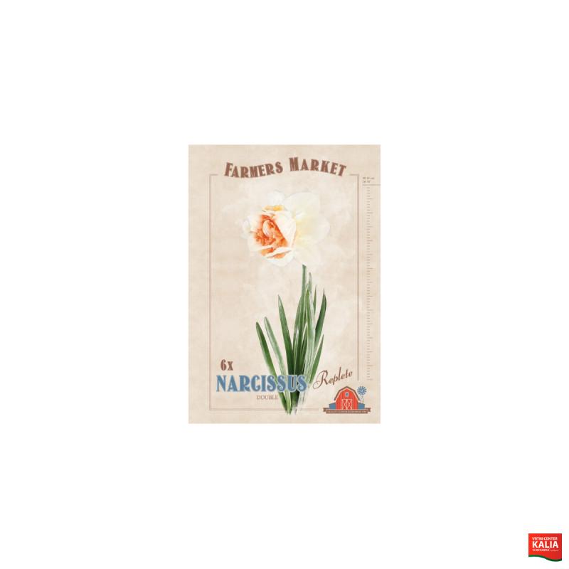 Farmers Market Narcissus double Replete 6/1 