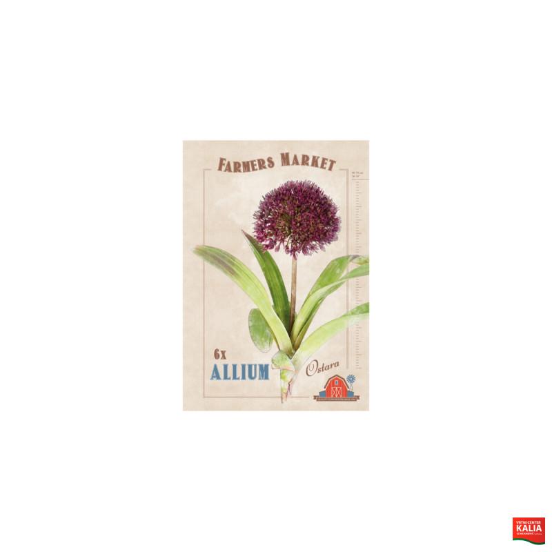 Farmers Market Allium Ostara 6/1 